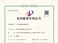 實用新型專利（一種外墻免拆除錨固結構）